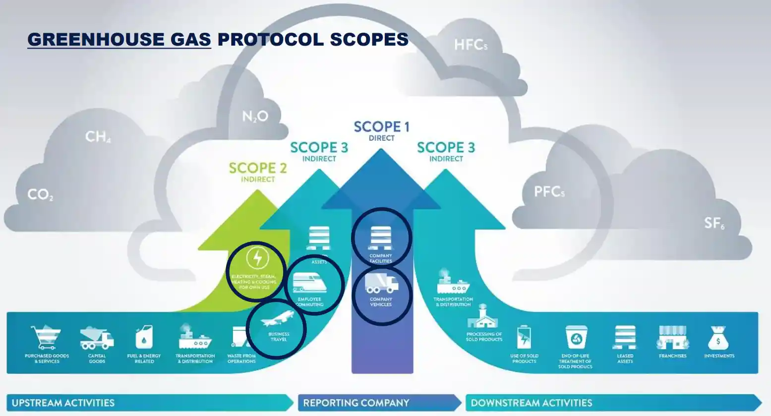 Netzeroscope